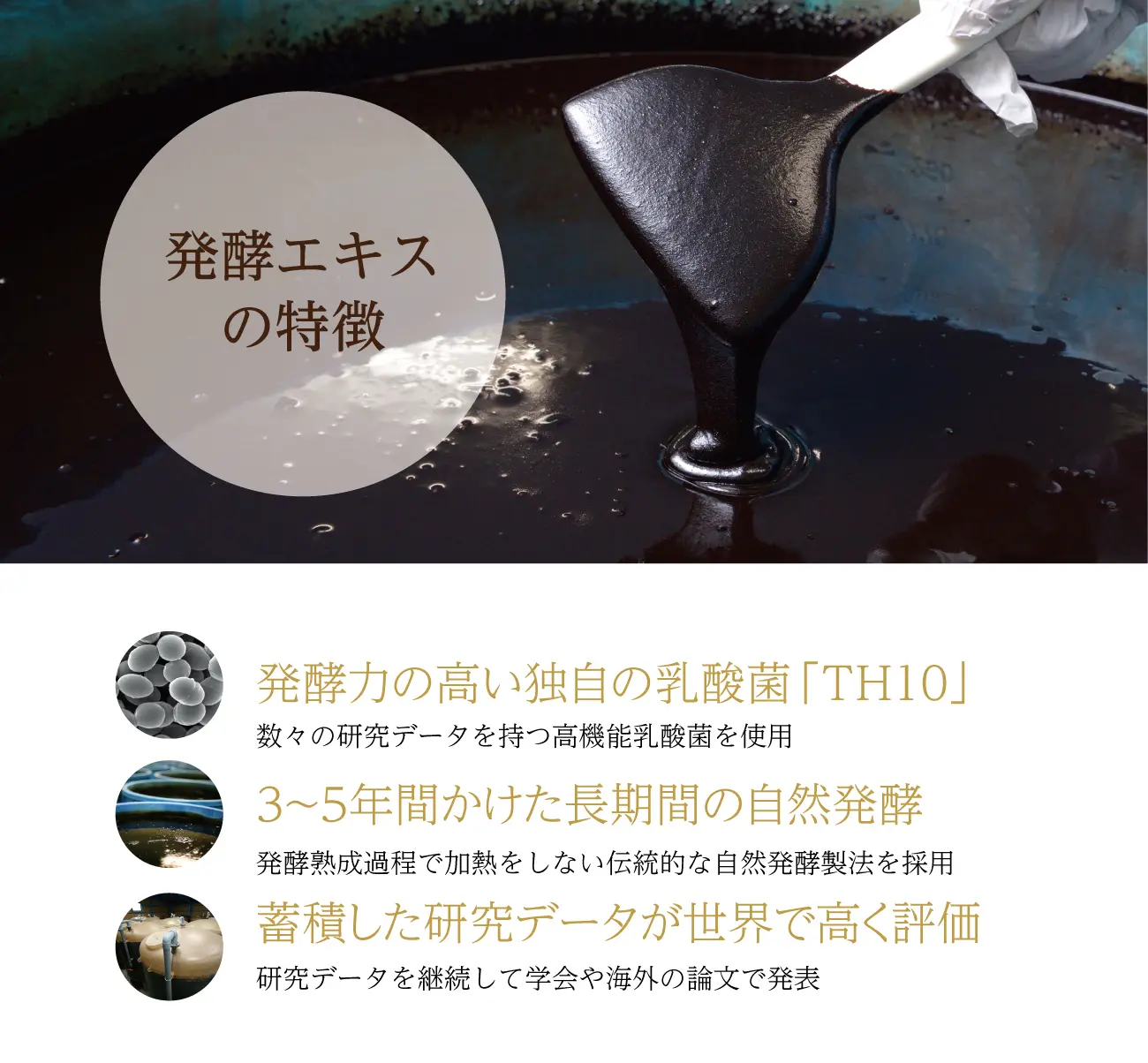 om-x12plus03.webp